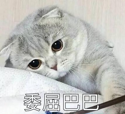 DƬ